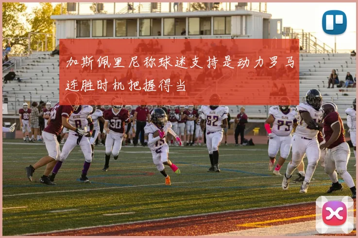 加斯佩里尼称球迷支持是动力罗马连胜时机把握得当